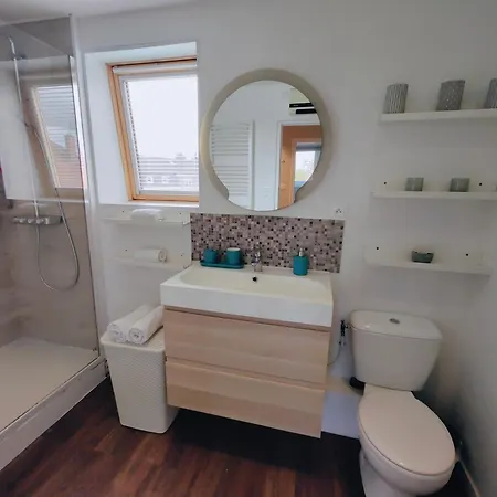 Tatil Evi Maison Spacieuse 8 Pers Avec Jardin Aux Portes De Lille Saint-Andre-lez-Lille