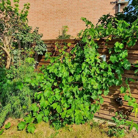 Maison Spacieuse 8 Pers Avec Jardin Aux Portes De Lille *